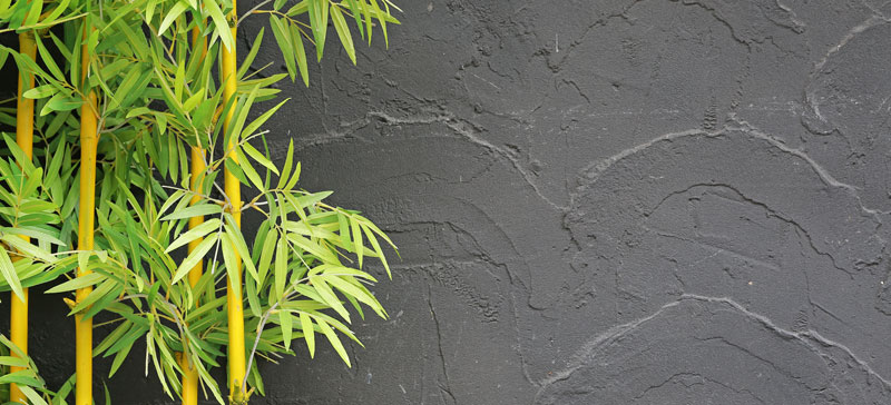 bamboo and abstract gray concrete wall